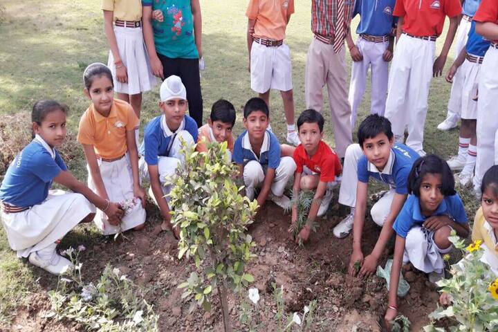Loyal Public School - Plantation