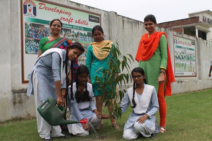 MB College - Plantation
