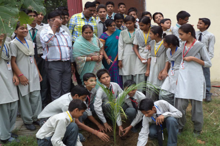 MKD Children Academy - Plantation