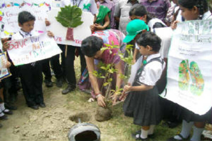 Sunshine Prepratory High School-Tree-Plantation