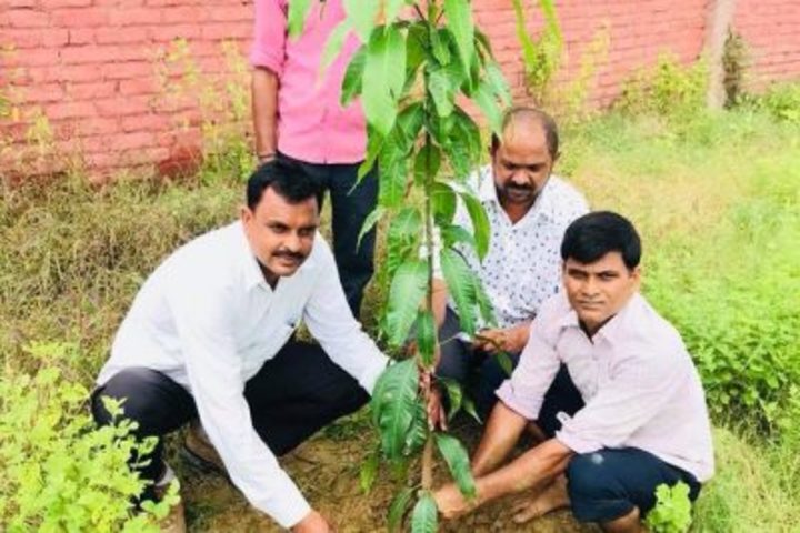 Maa Kaushilya Secondary School-Tree-Plantation