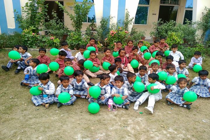 Maa Sharda Public School-Activity