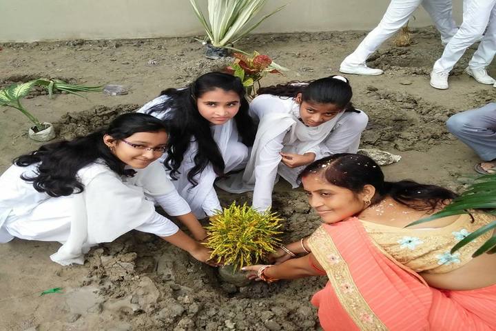 Sunshine School-Tree Plantation