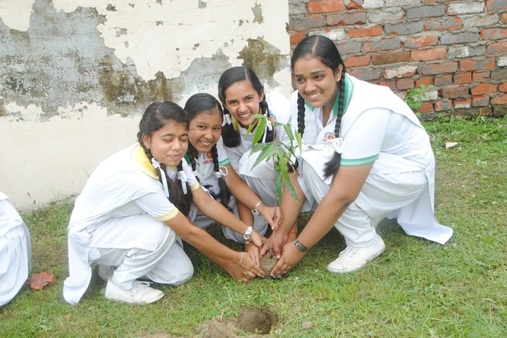 Madhavrao Scindia Public School-Tree Plantation