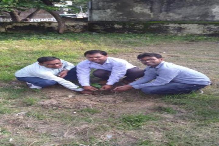 Maharishi Vidya Mandir-Tree-Plantation