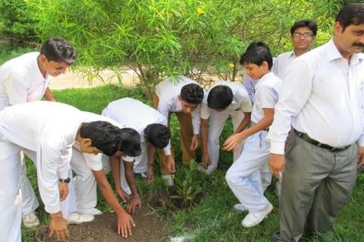 Maharishi Vidya Mandir-Plantation
