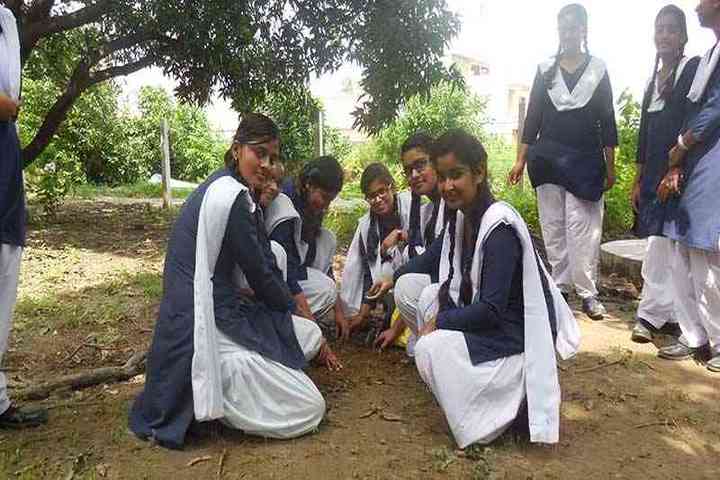 Maharishi Vidya Mandir-Plantation