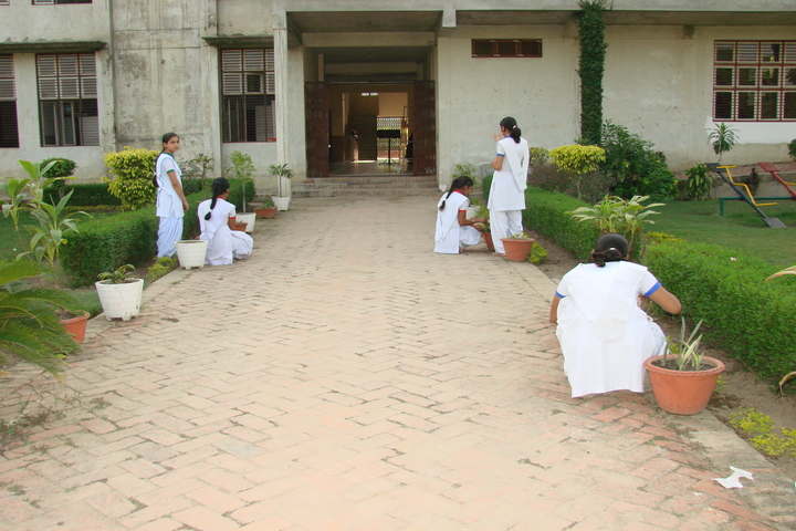 Marwah Modern School-Gardening
