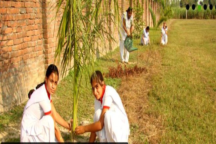 Marwah Modern School-Green day