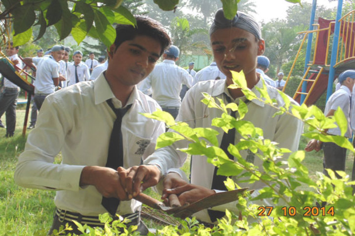 Milton Educational Academy-Gardening Activity