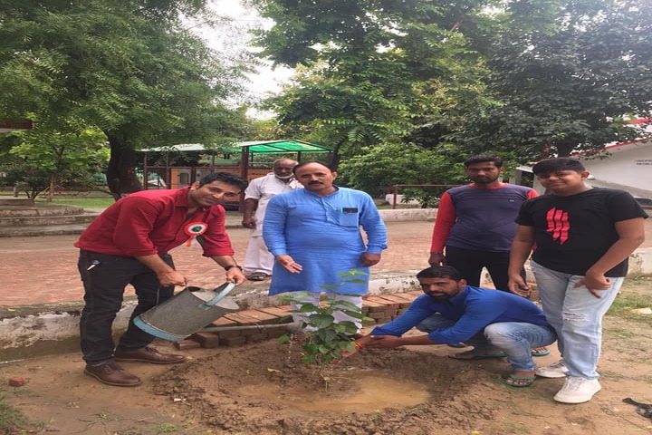 Minerva Public School-Tree Plant