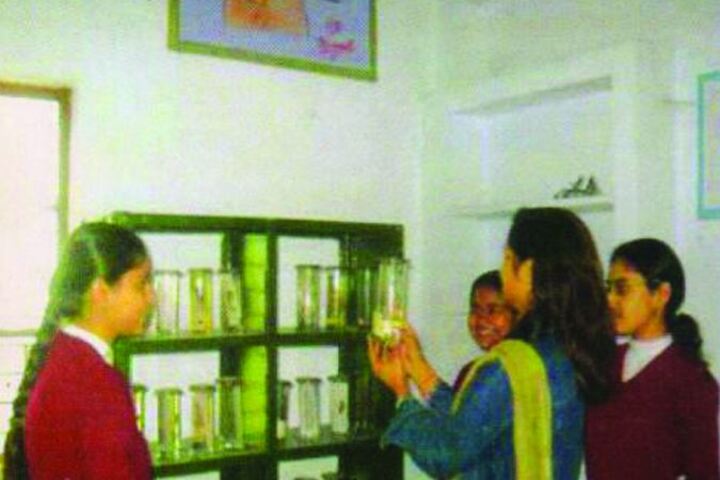 Modern Public School-Biology Lab