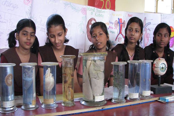 The Duncan Academy-Science Exhibition