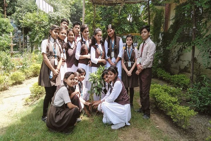 N R Public School-Plantation Day