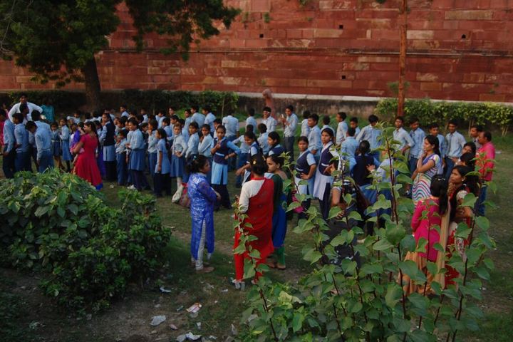 NS International School-Plantation Day