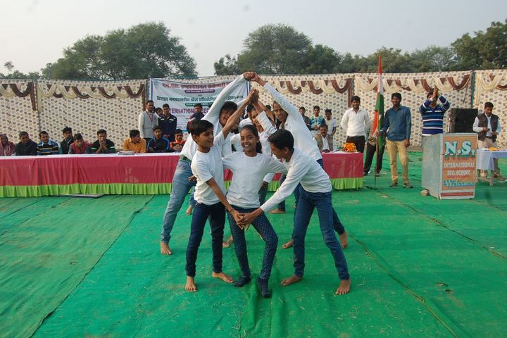 NS International School-Playrole