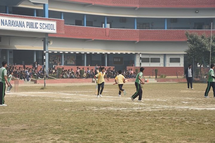 Narayana Public School-Sports Cricket