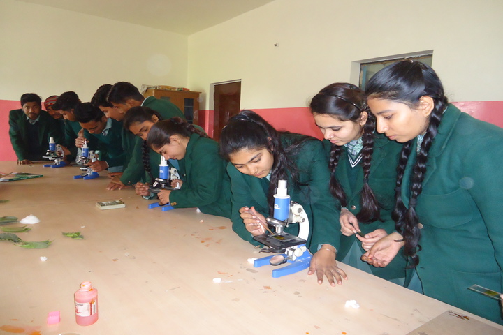 National Public School-Physics Lab