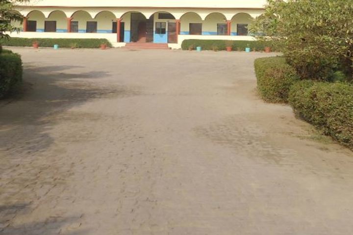 National Public School-Playground