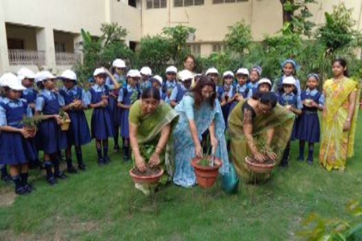 Navayuga Radiance School-Tree Plantation