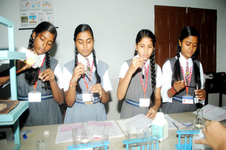 New Cambridge Senior Secondary School-Biology Lab