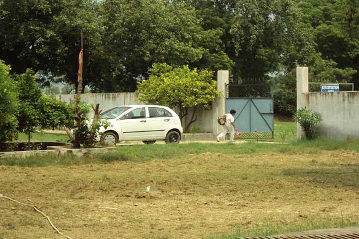New Kingston Senior Secondary School-Play Ground