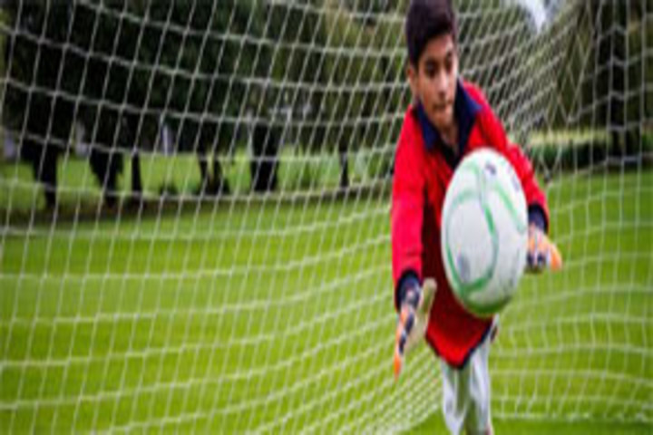 R S J Public School-Sports