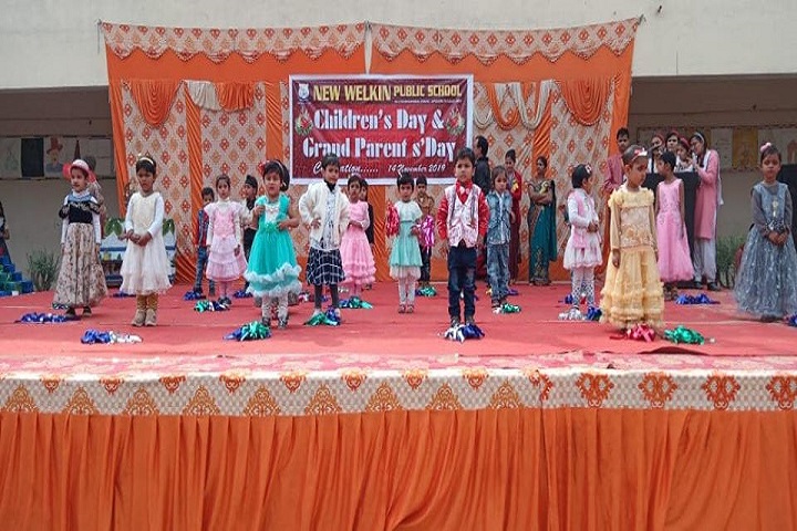 New Welkin Public School-Childrens Day Celebration