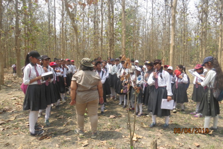 Oxford Public School-Activity