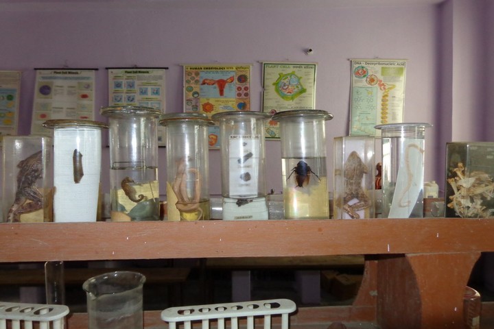 Vidya Niketan Girl High School-Science La