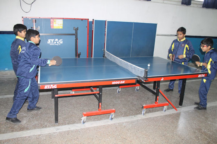 P M S Public School-Indoor Games