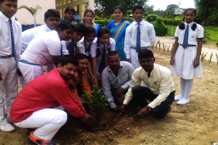 P D Public School - Tree planting