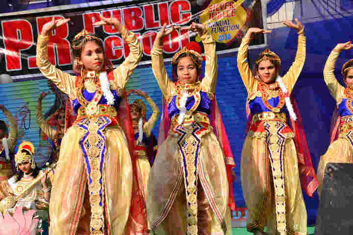 P R Public School-Cultural Fest