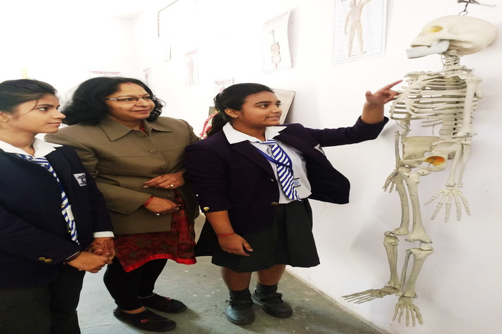Padamshree N N Mohan Public School-Biology Lab
