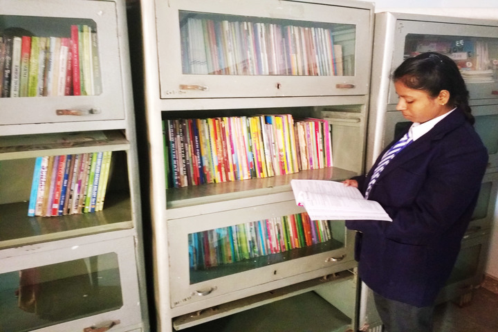 Padamshree N N Mohan Public School-Library