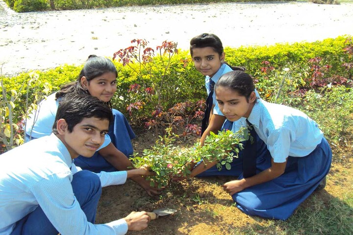 Param Public School - Tree planting