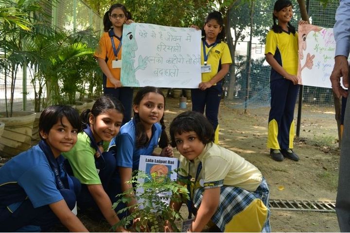 Patanjali Rishikul-Plant A Tree