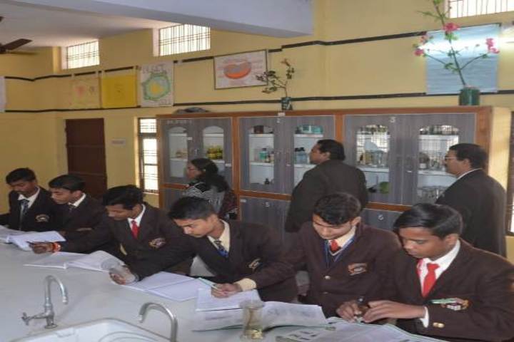 Pioneer Public School-Chemistry lab