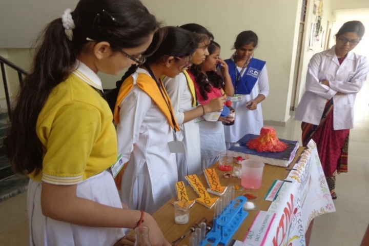 Prasad International School-Science Exhibition