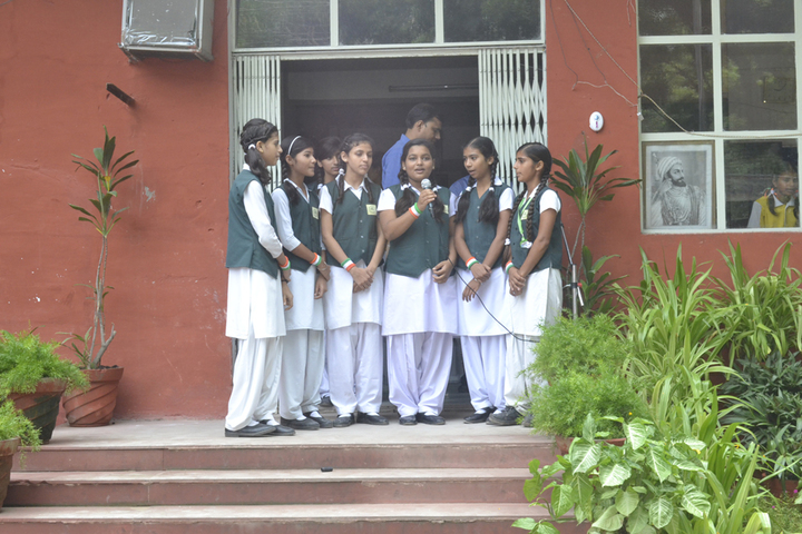 Premier International School-Independence Day