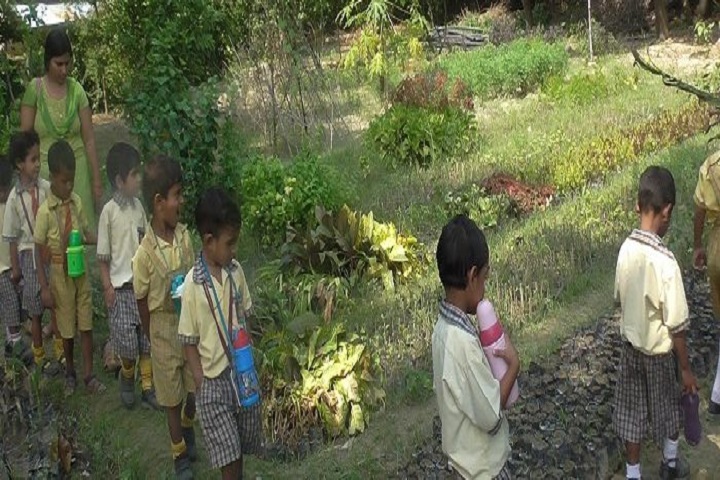 Pt Nagesh Dutt Public School-Field Trip