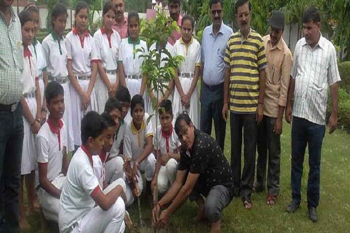 Pt Nagesh Dutt Public School-Plantation