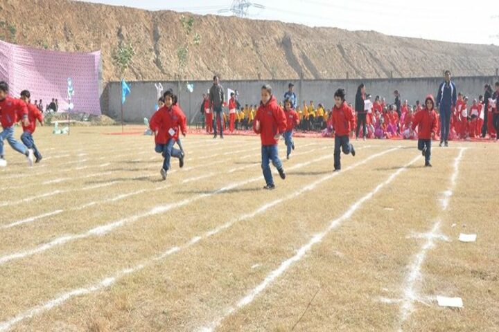 Radicon School-Sports