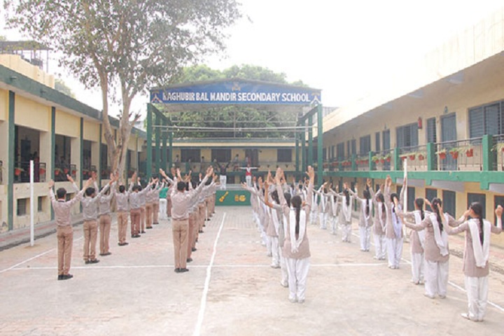 Raghubir Bal Mandir Senior Secondary School-Exercise
