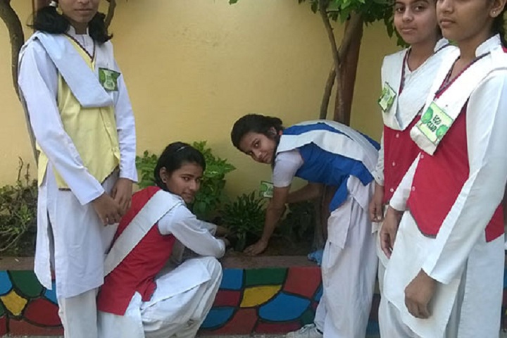 Raghubir Bal Mandir Senior Secondary School-Plantation