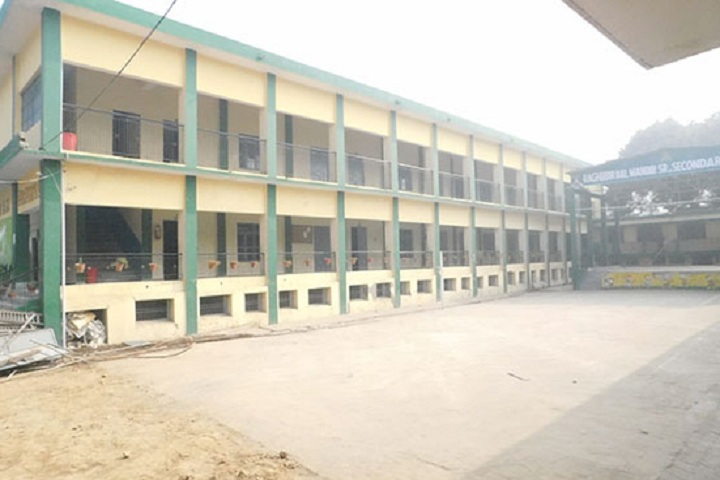Raghubir Bal Mandir Senior Secondary School-Campus