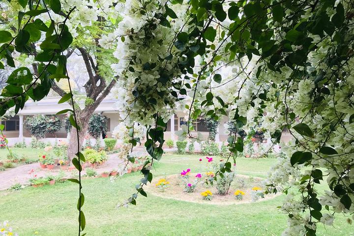 Rajghat Besant School garden