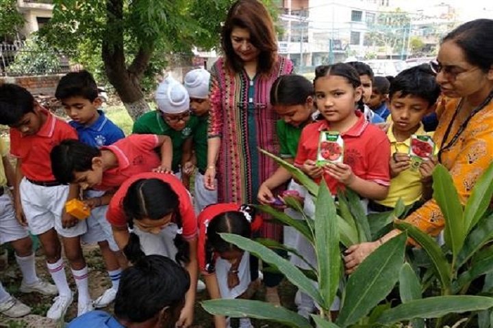 Ajit Karam Singh International Public School-Events