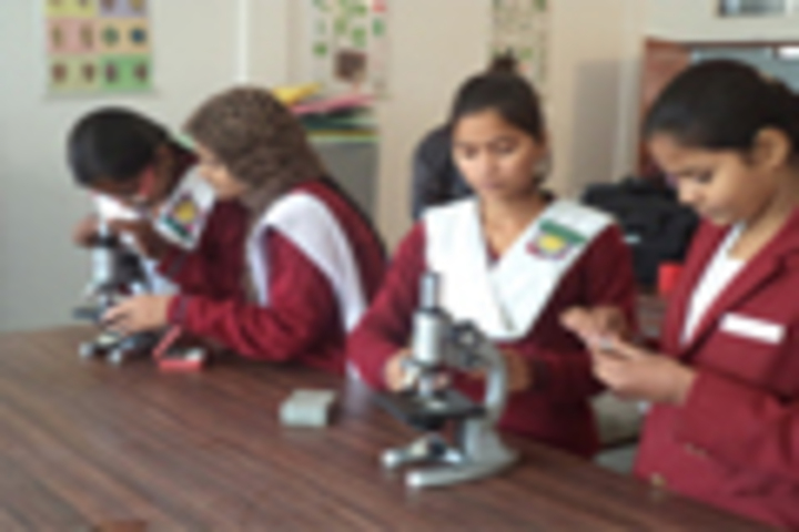 Ram Prasad Bismil Memorial Public School-Labs