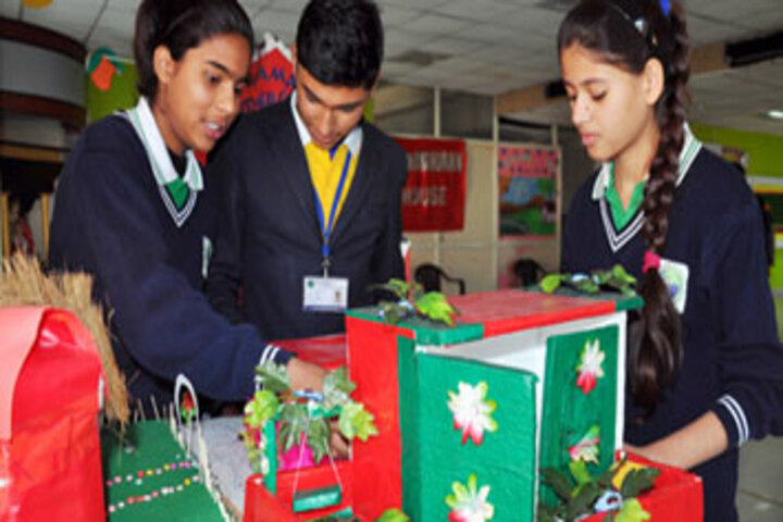Rama International School-Art and Craft
